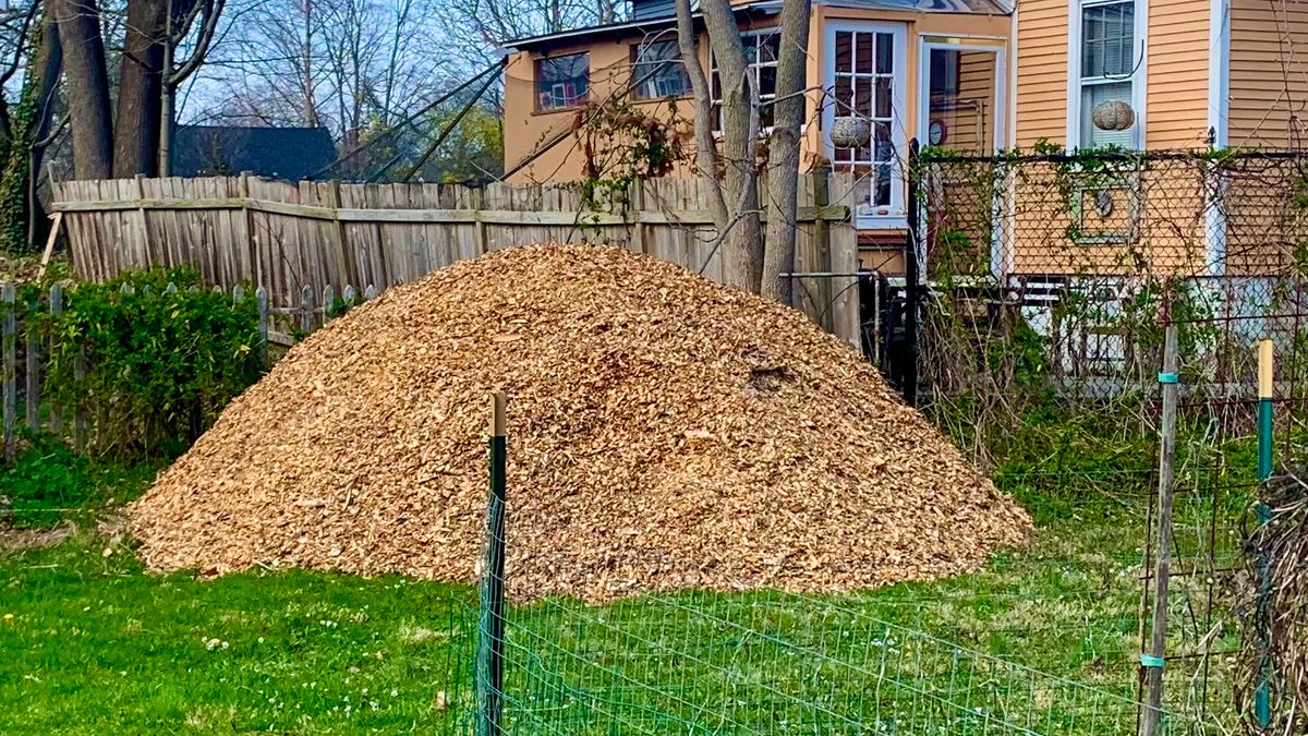 lenten journal: chipping in