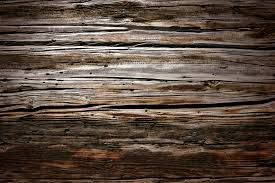 lenten journal: weathered