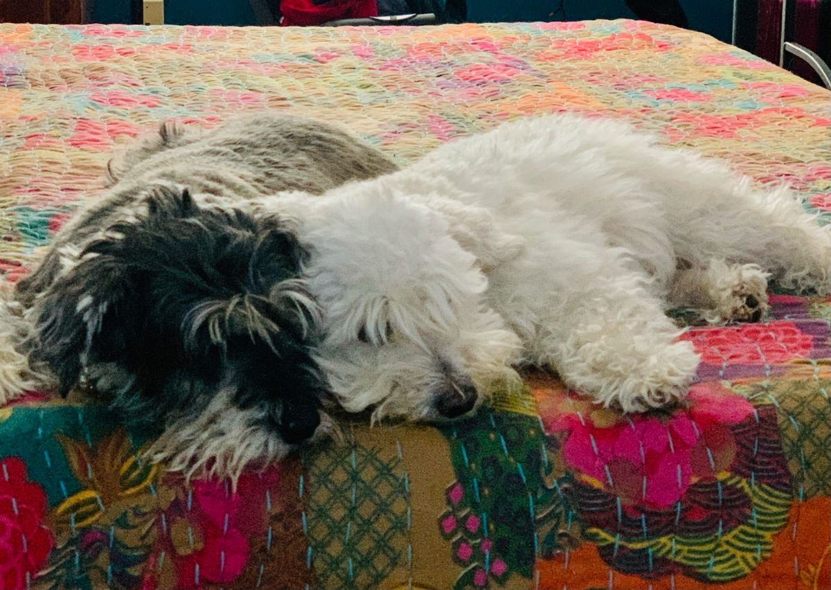 lenten journal: exhausted