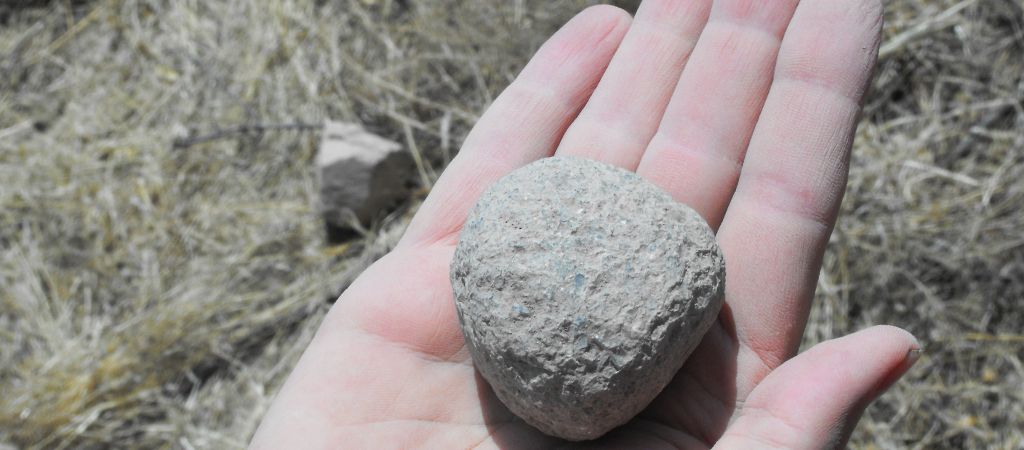 stonecatchers