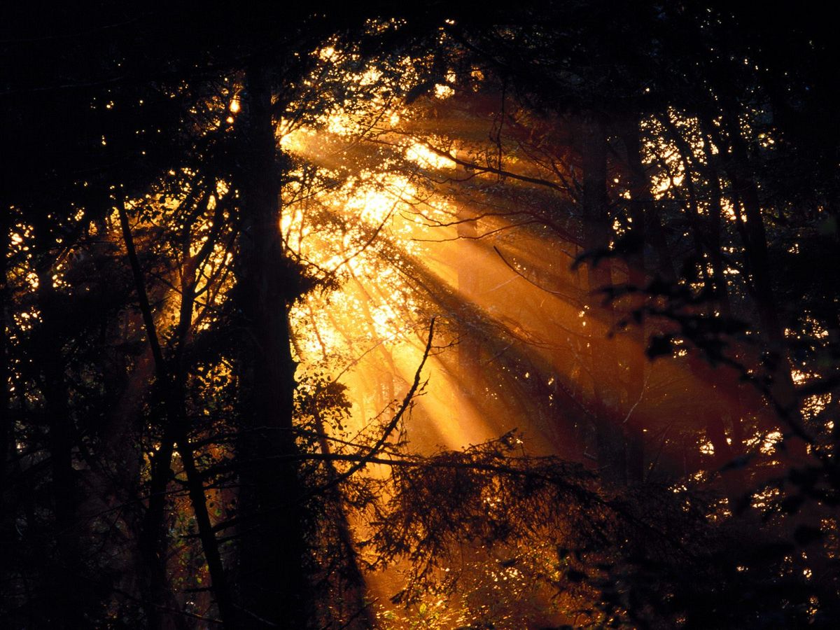 advent journal: we are the sunshine