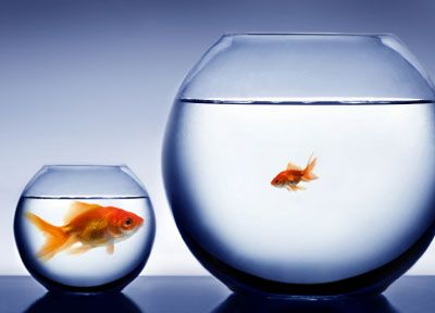 lenten journal: living by comparison