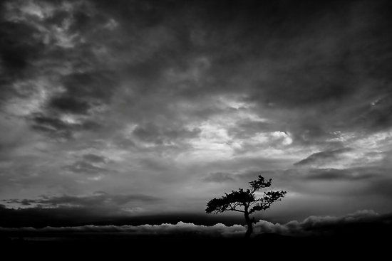 lenten journal: soundtrack for the storm