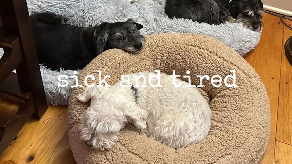 sick and tired