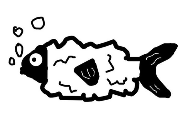 fish for sheep