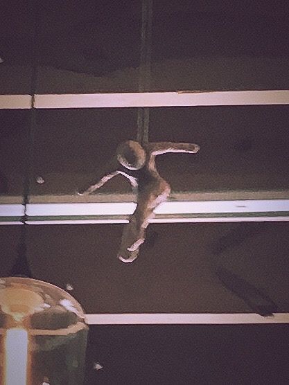 suspended animation