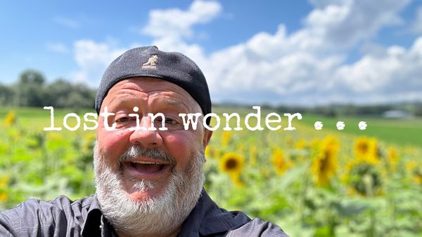 lost in wonder . . .