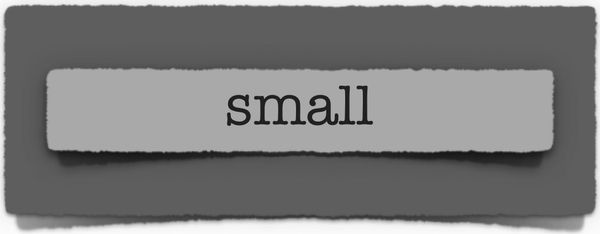 lenten journal: small