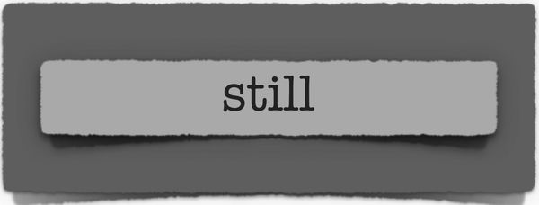 lenten journal: still