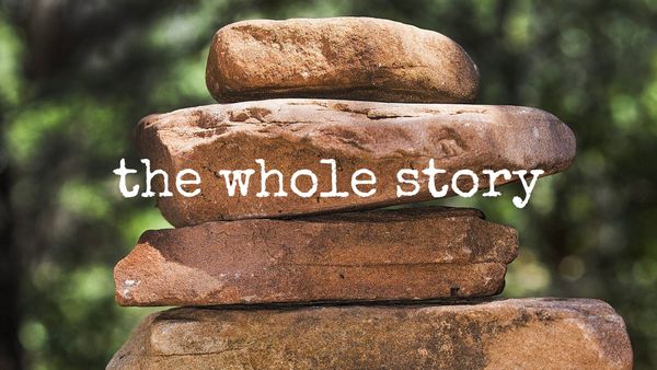 the whole story