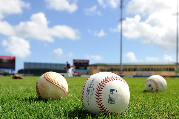 lenten journal: spring training