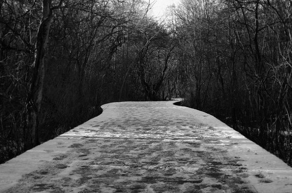 advent journal: songs for the journey