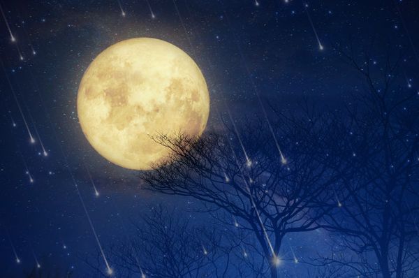 advent journal: solstice