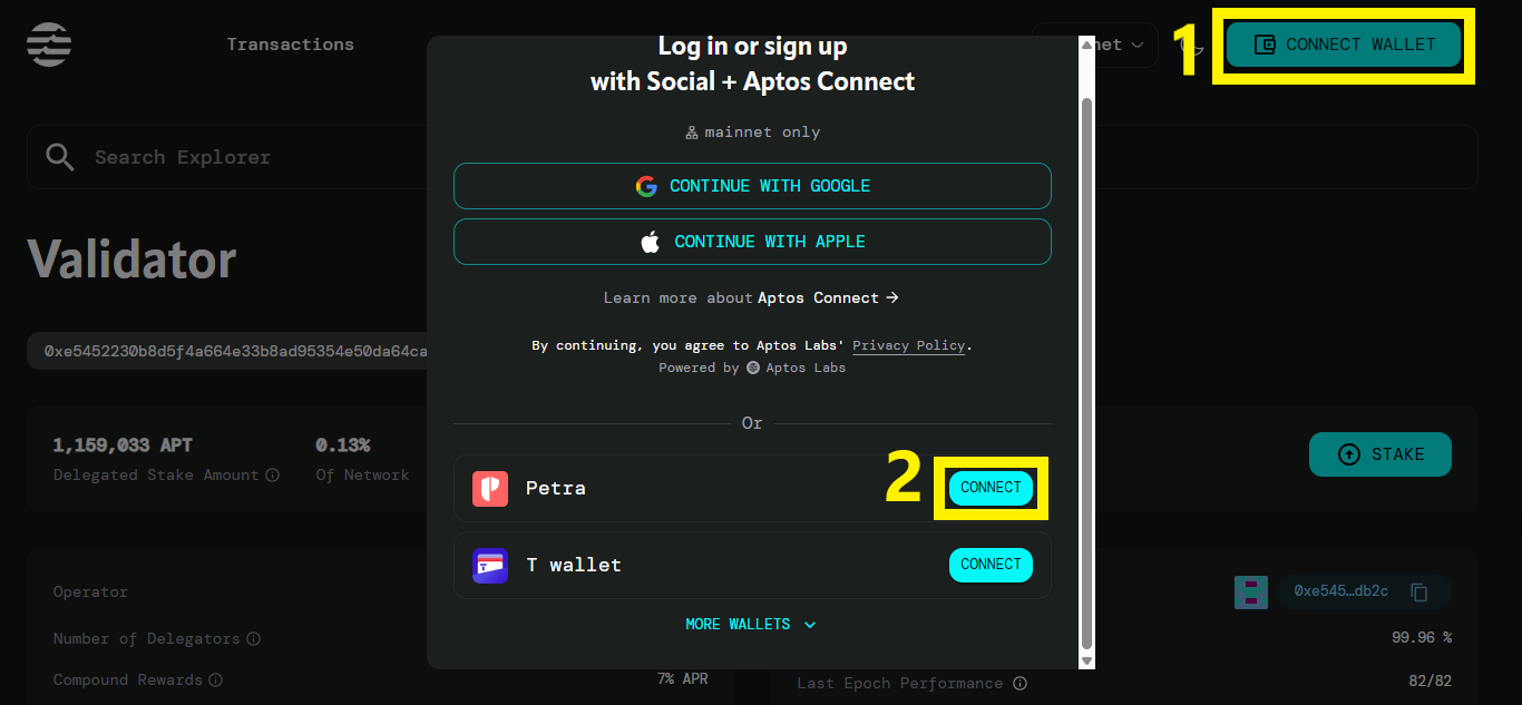 validador-page-on-aptos