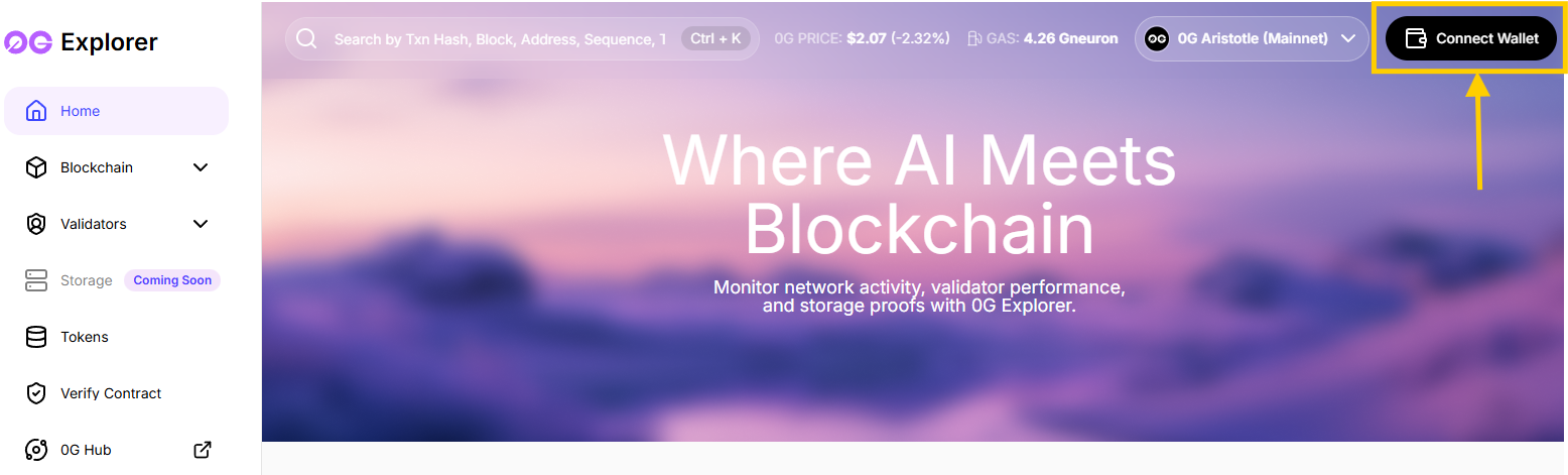 Connect your wallet to 0G Explorer