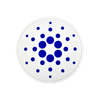Cardano
