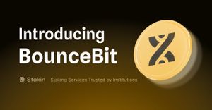 An Introduction to BounceBit