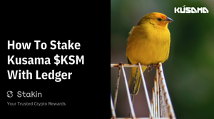 How To Stake Kusama With Ledger