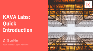KAVA Labs: Quick Guide & Overview