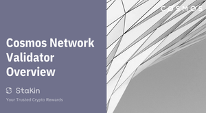 Cosmos Network: Validator Overview