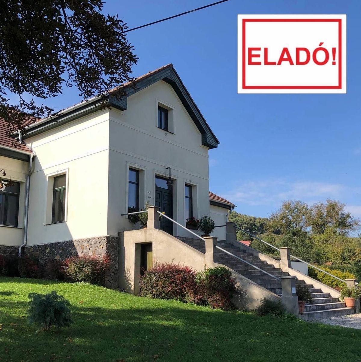 De Gronings-Fries-Limburgs-Hongaarse connectie!