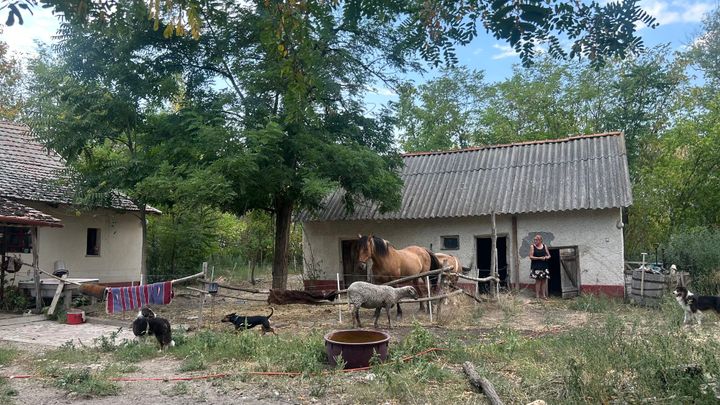 Wonen in Hongarije: terugblik 2025 en hoe wij verdergaan