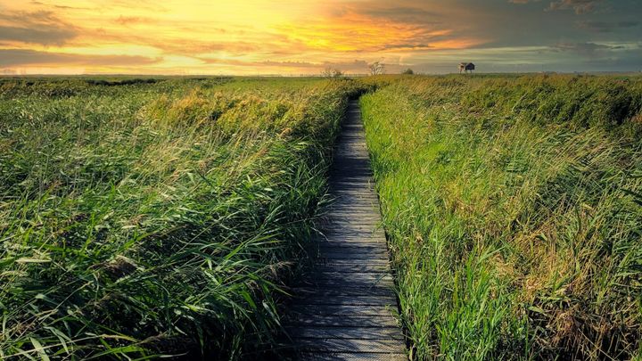 Emigreren begint niet bij een land