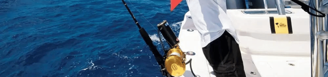 Electric Reel Fishing