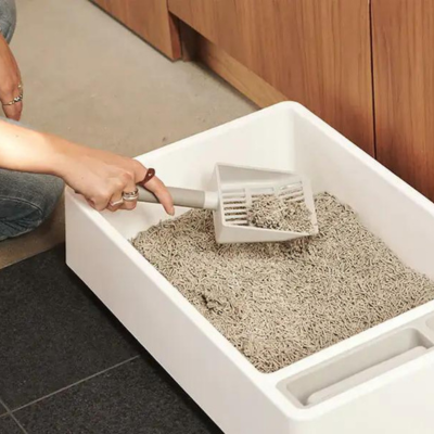Person using a scoop in a litter box
