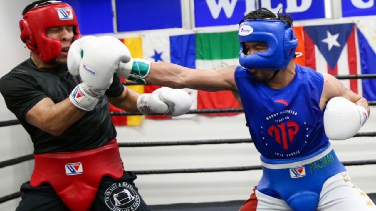 Best Boxing Headgear