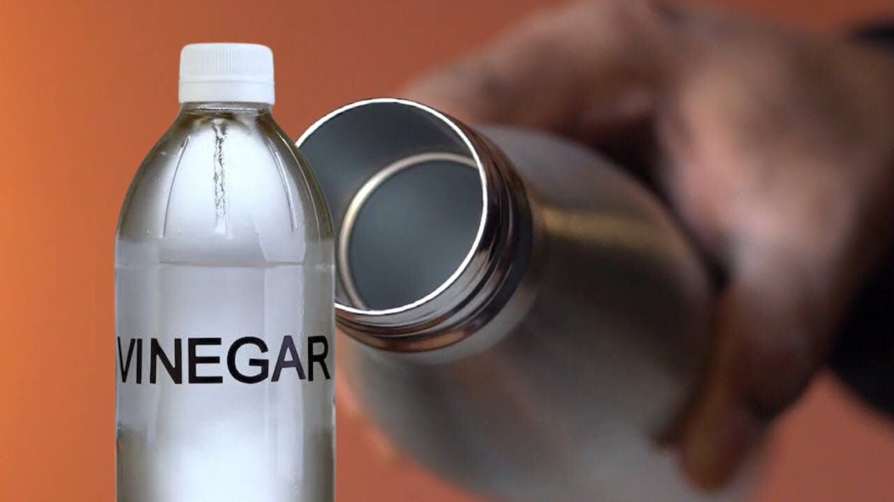 Vinegar is a source to control bacteria growth in a stainless steel water bottle