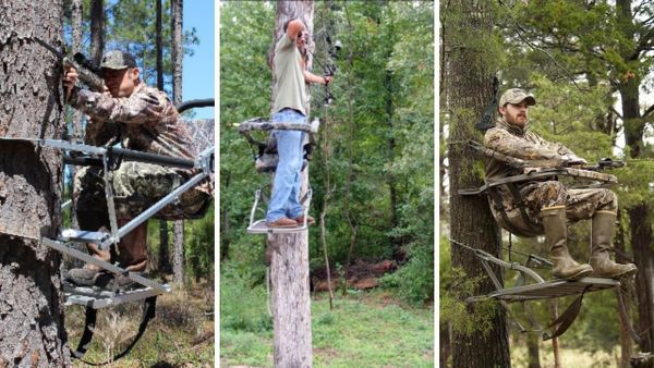 How to Hunt Like a Pro! Discover the Best Climbing Tree Stand Options