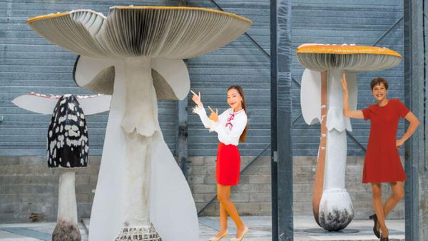 7 Factors Why Fascinating Mushroom Art Will Attract People