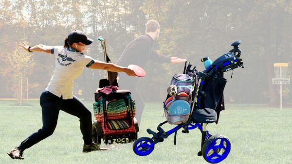 Are Disc Golf Carts Worth It? Do You Want the Best Advice?