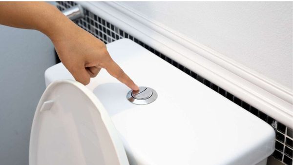 Can I Flush Tofu Litter Down the Toilet? The Ultimate Hygienic Guide!