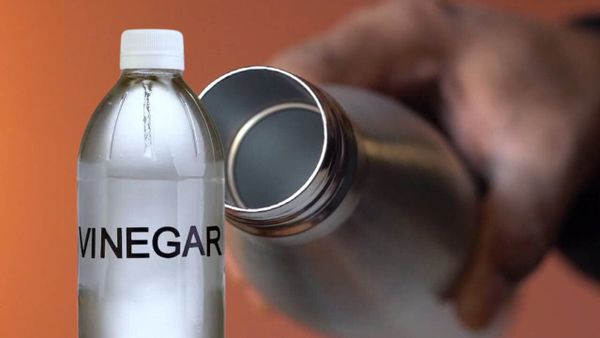 Can Bacteria Grow in Stainless Steel Water Bottles? Know The Shocking Truth!