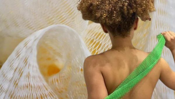 Does the African Net Sponge Actually Work? Is It Miracle or Myth?