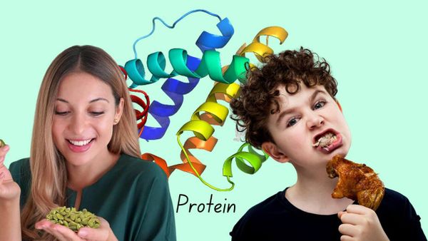 Do Pumpkin Seeds Have More Protein than Chicken? A New Overlooked Powerhouse!
