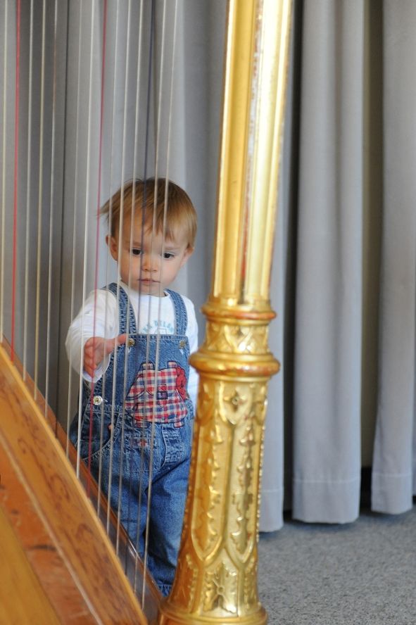 Staatstheater Cottbus / Harfe © Marlies Kross