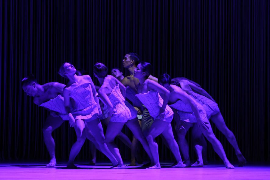 Theater am Domhof - Osnabrück / Schwanensee - Siegfried tanzt mit den Schwänen © Jörg Landsberg Theater am Domhof - Osnabrück / Schwanensee - Siegfried tanzt mit den Schwänen © Jörg Landsberg