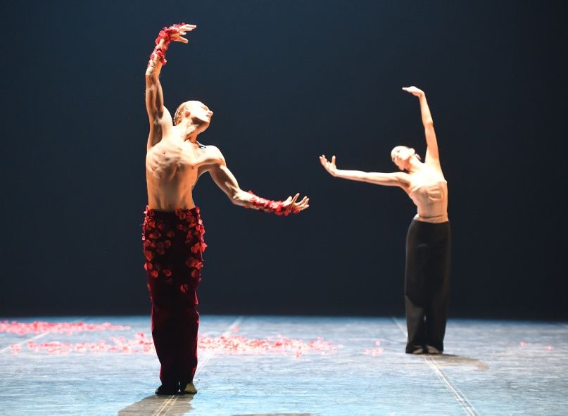 Stuttgarter Ballett / Le Spectre de la Rose © Stuttgarter Ballett Stuttgarter Ballett / Le Spectre de la Rose © Stuttgarter Ballett