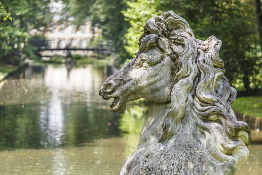 Bayerische Schlösserverwaltung, / Bayreuth, Neues Schloss, Hofgarten, Wasserross auf der Großen Insel © Bayerische Schlösserverwaltung, Thomas Köhler Bayerische Schlösserverwaltung, / Bayreuth, Neues Schloss, Hofgarten, Wasserross auf der Großen Insel © Bayerische Schlösserverwaltung, Thomas Köhler