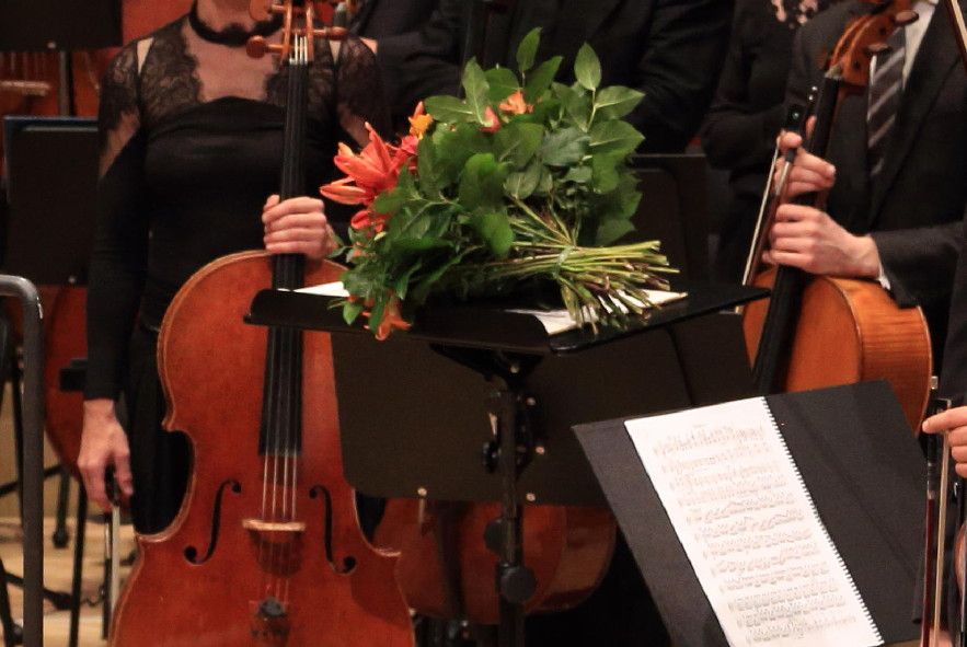Elbphilharmonie Hamburg / Philharmonisches Staatsorchester Hamburg und Anton Bruckner © Patrik Klein