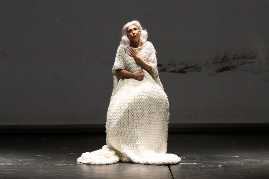 Theater Münster / Bin zuhause - hier : Regine Andratschke in dem Bild Globus @ Oliver Berg