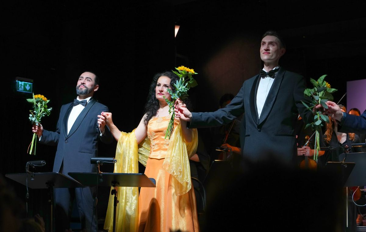 Hamburger Kammeroper, I PURITANI - Vincenzo Bellini, IOCO