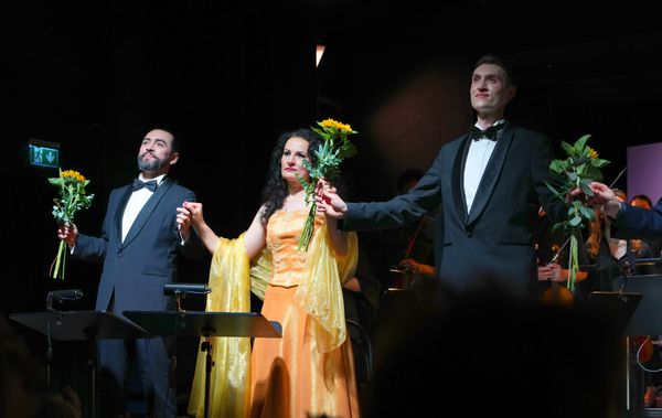 Hamburger Kammeroper, I PURITANI - Vincenzo Bellini, IOCO