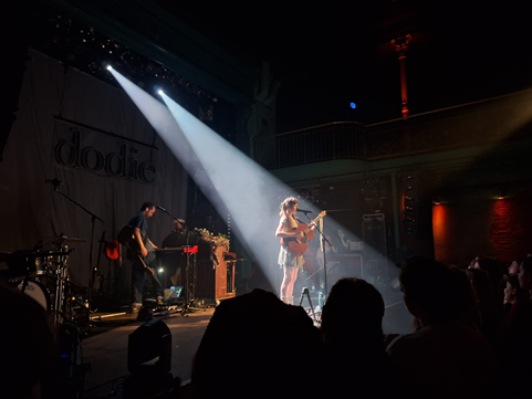 Hamburg, Gruenspan, Dodie, IOCO