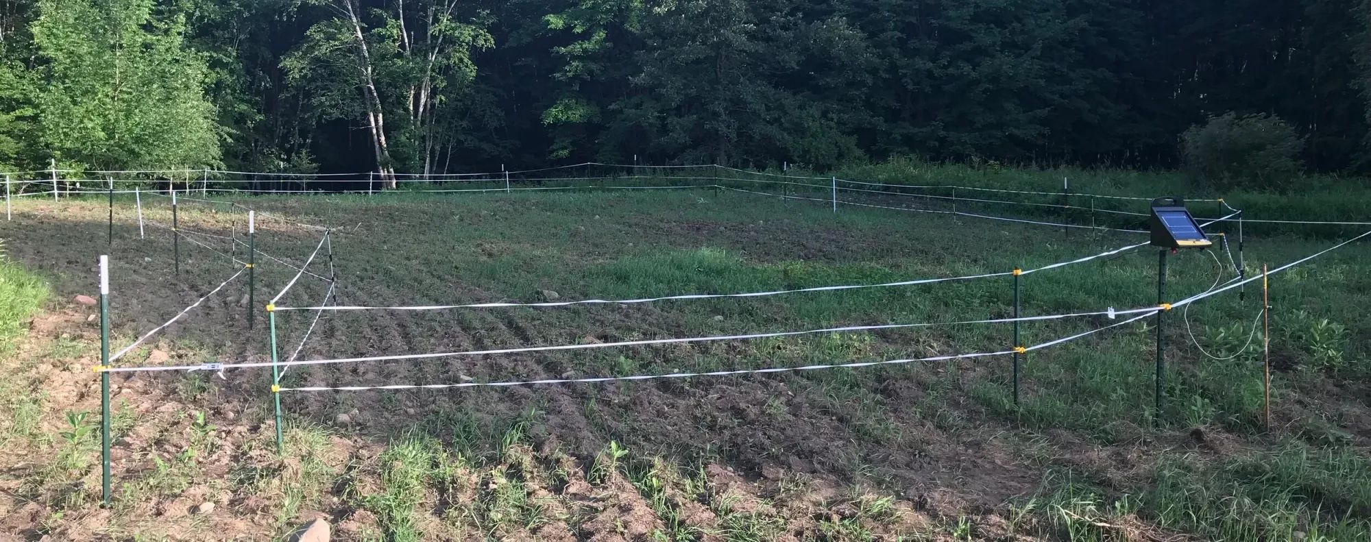 Are Dual-Perimeter Fences a Legit Strategy?