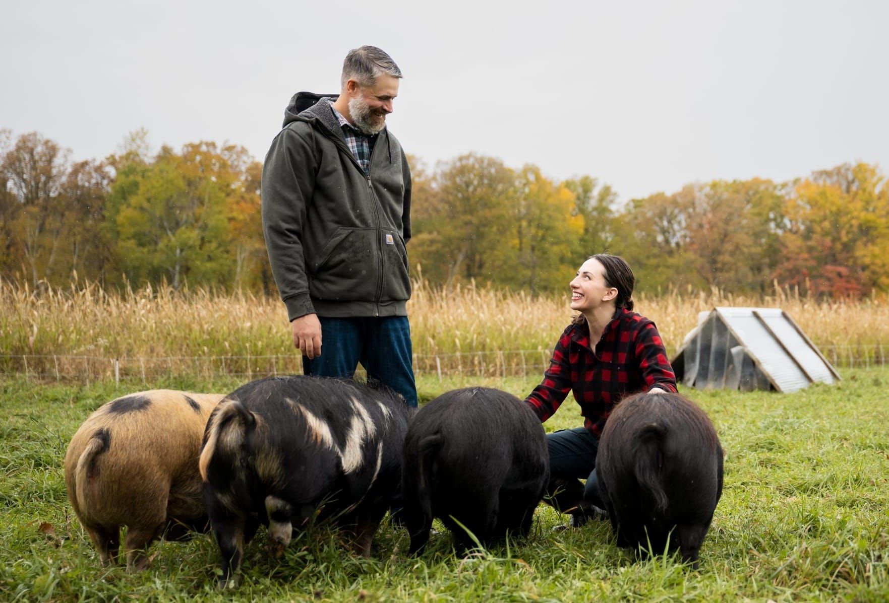 Welcome to Our Farm