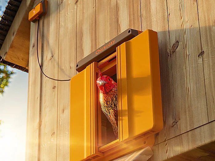 Review: Chickcozy Solar Automatic Chicken Coop Door
